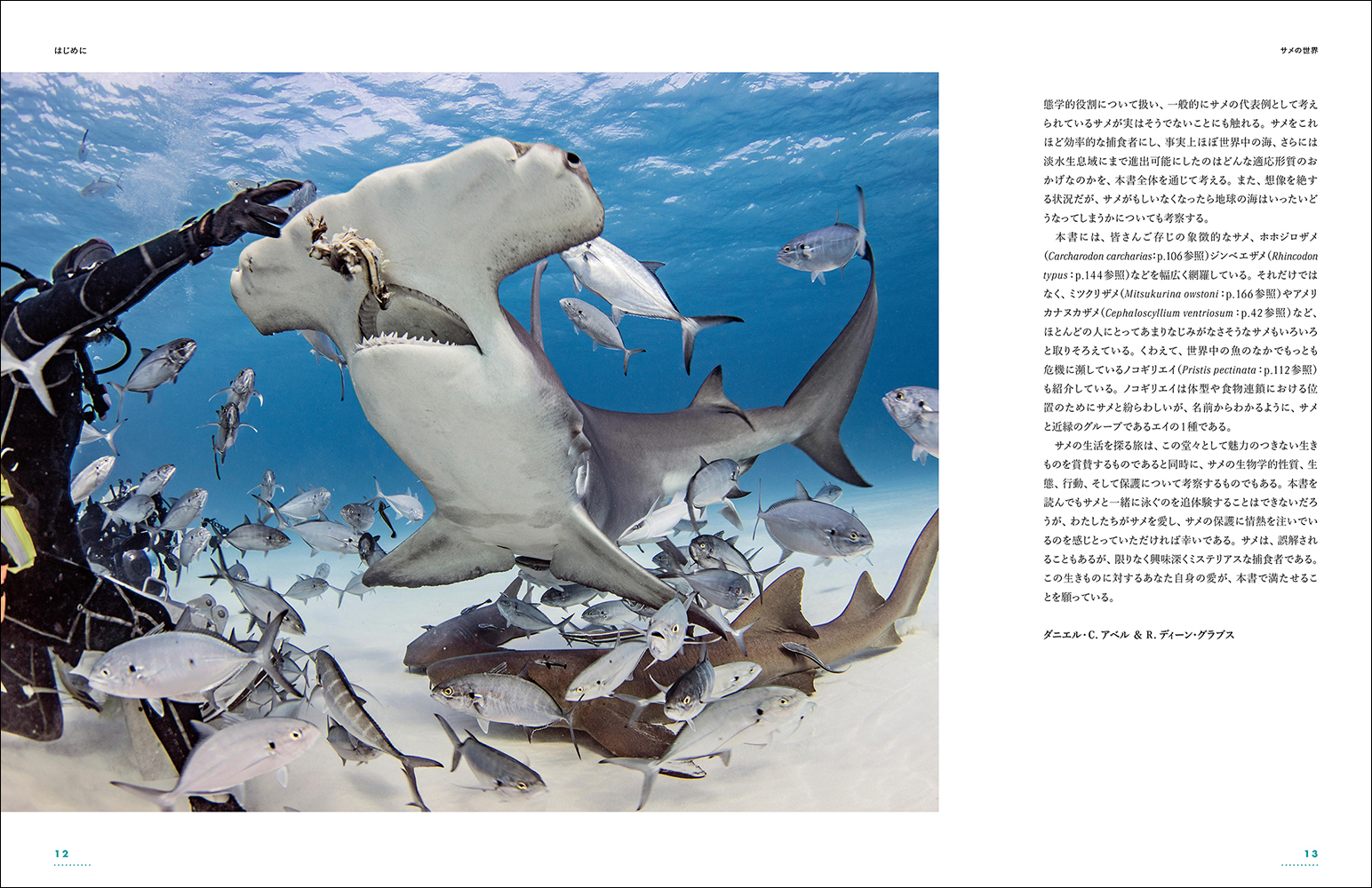 海のハンター“サメ”の生態を研究者が徹底解剖『迫力ビジュアル図鑑