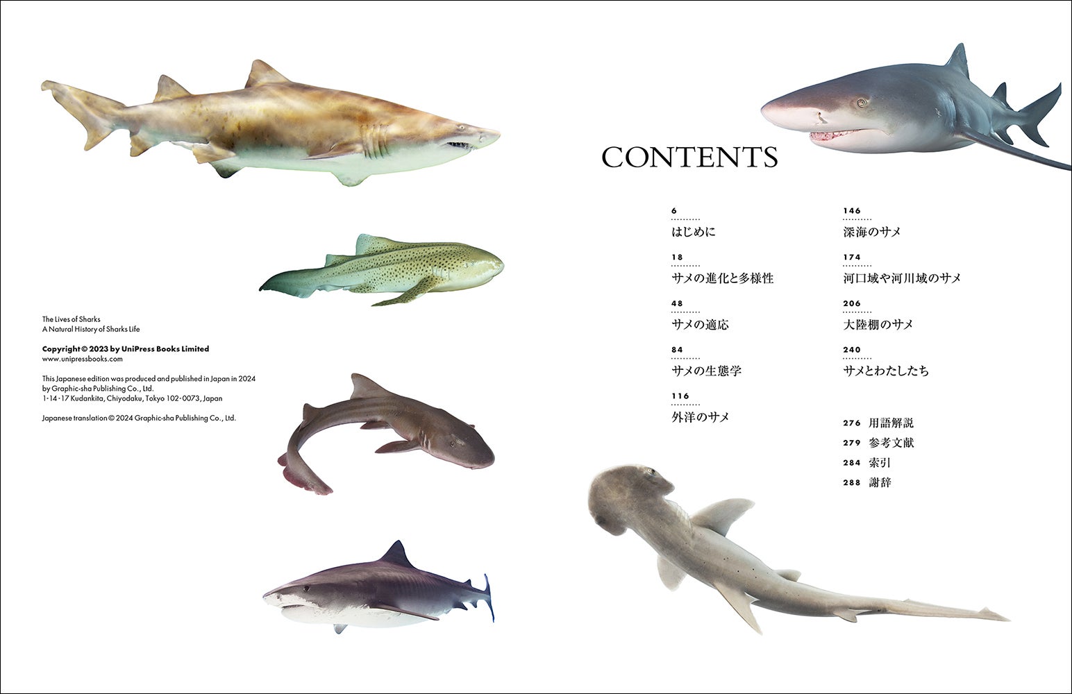 【みっこ】サメ図鑑(ブルー)/深海魚(ネイビー)/恐竜(ベージュ) 計9点 海のハンター“サメ”の生態を研究者が徹底解剖『迫力ビジュアル