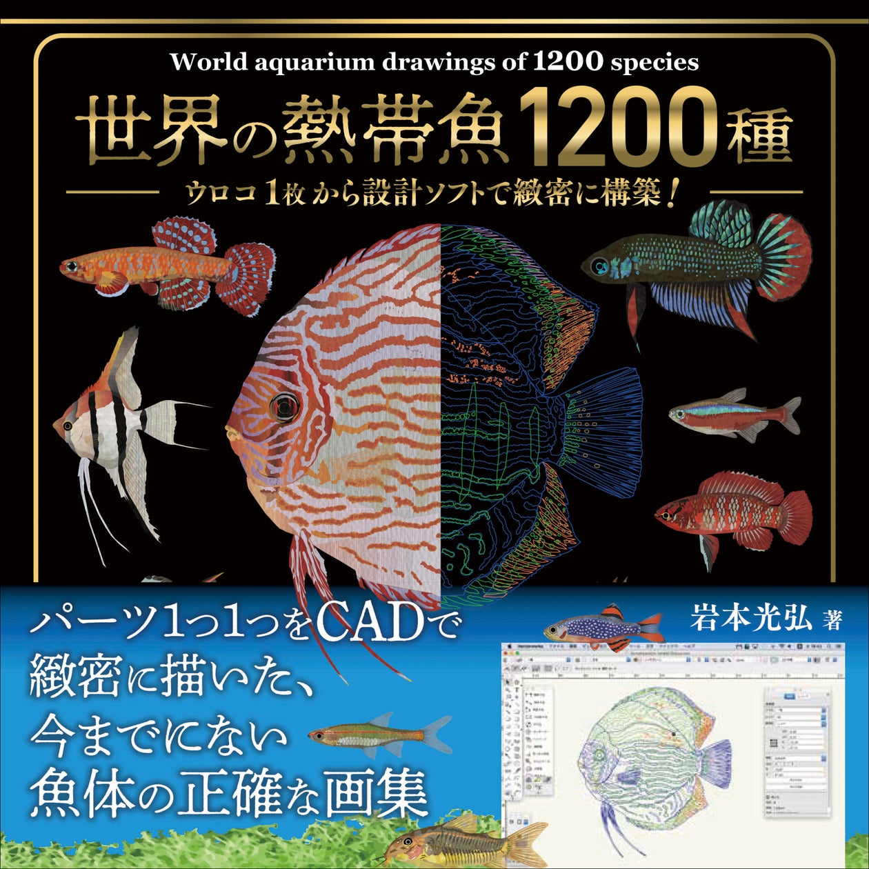 熱帯魚の魚体を正確に描いた画集『世界の熱帯魚1200種』11月発売 熱帯魚の魚体を正確に描いた画集『世界の熱帯魚1200種』11月発売