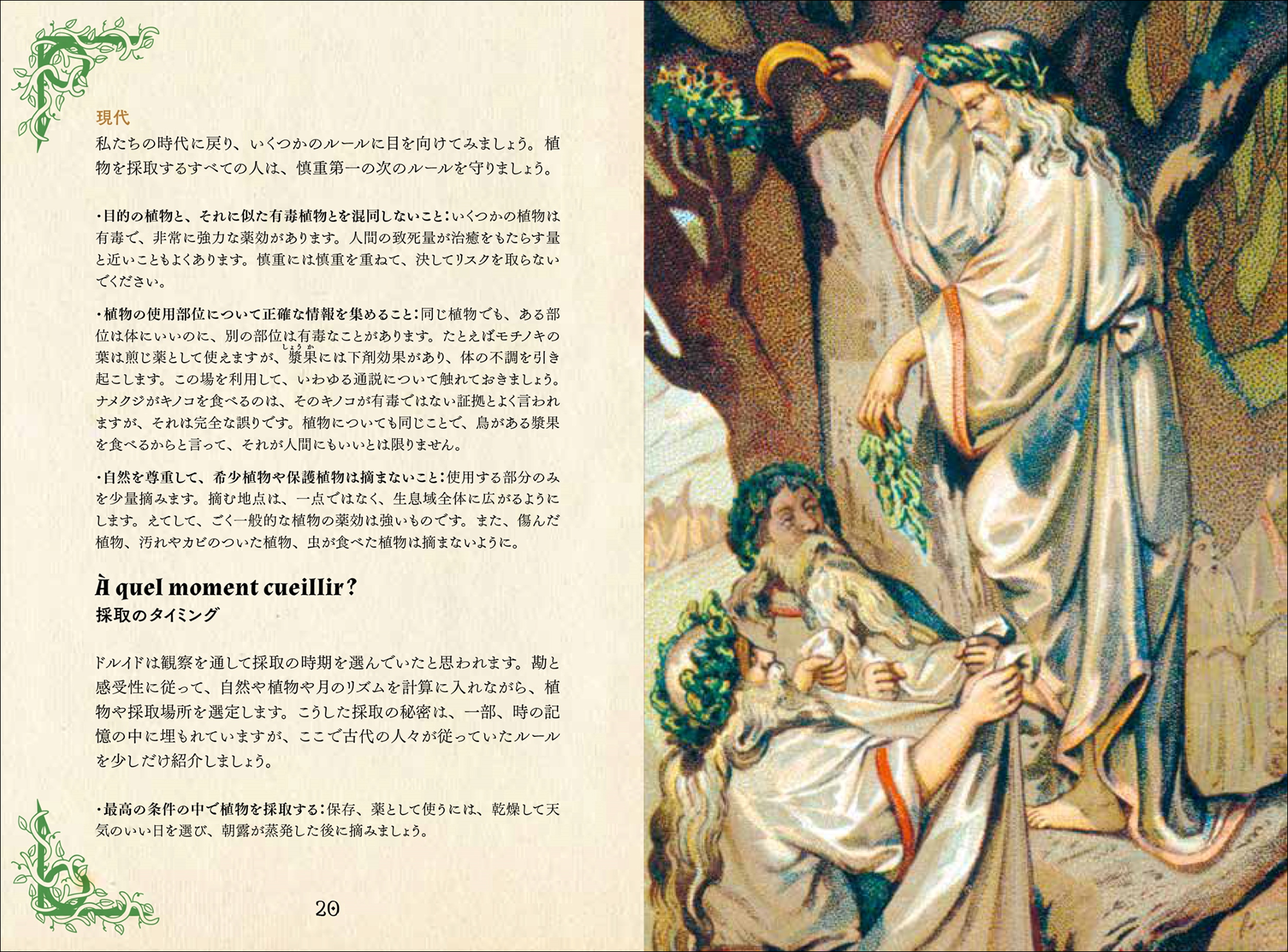 大好評“ひみつの本棚シリーズ”第10弾】古代の人々を癒した薬用植物と