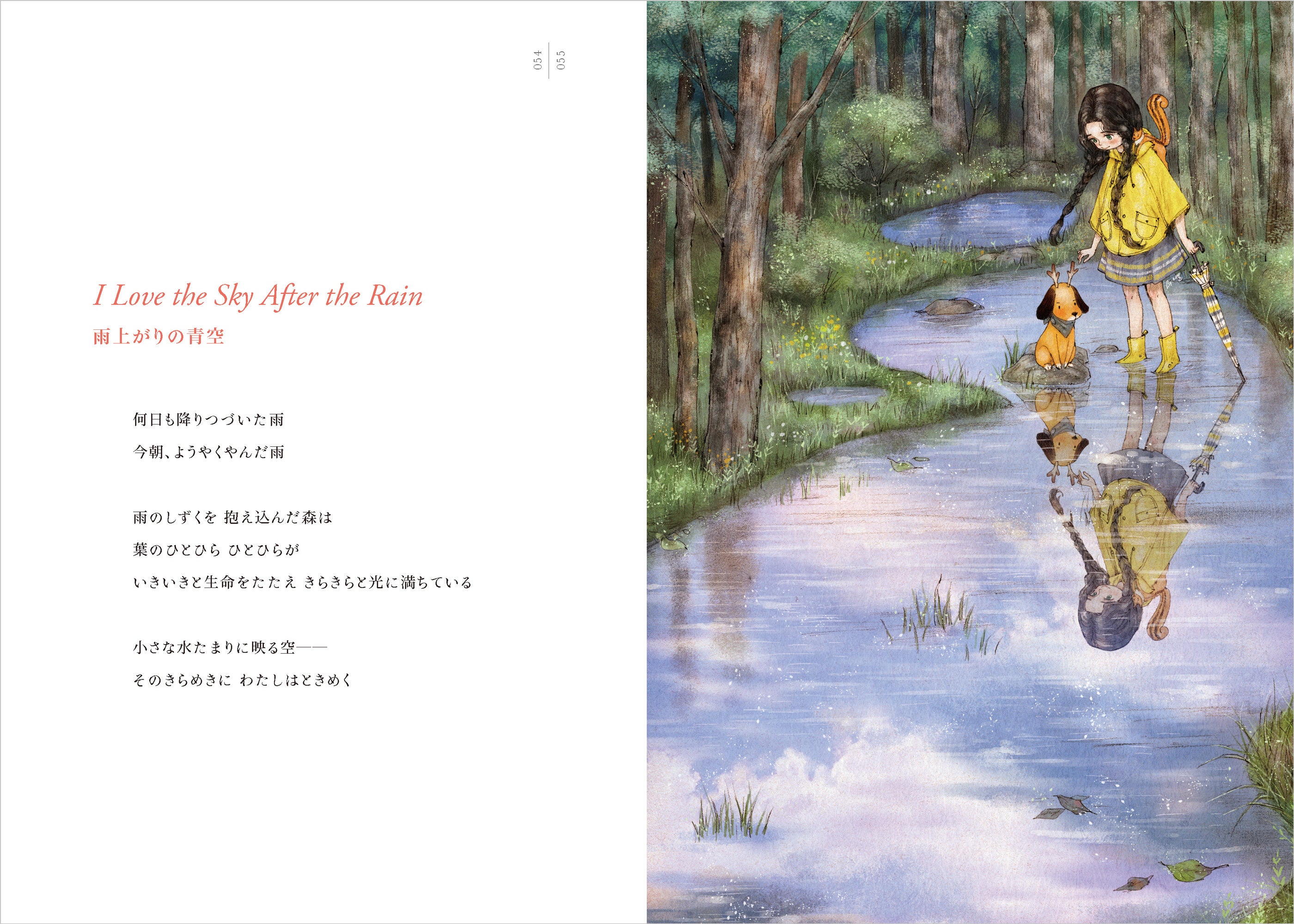 アリの冒険など 韓国絵本、30冊セット アリの冒険など 韓国絵本、30冊セット