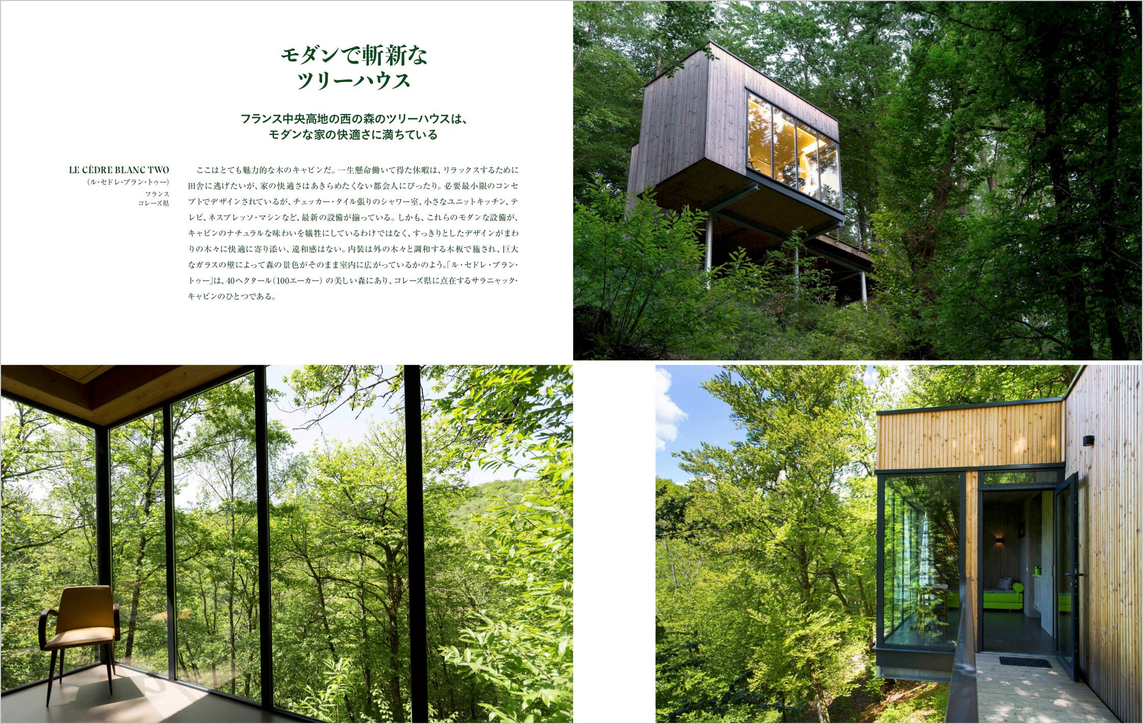 モダンで斬新なツリーハウス（フランス）