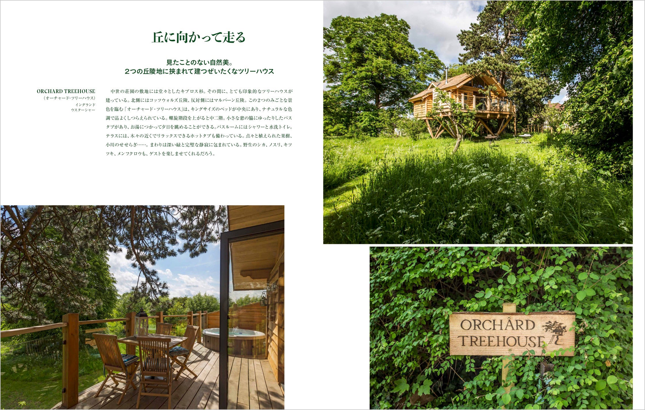 2つの丘陵地に挟まれて建つツリーハウス（イングランド）