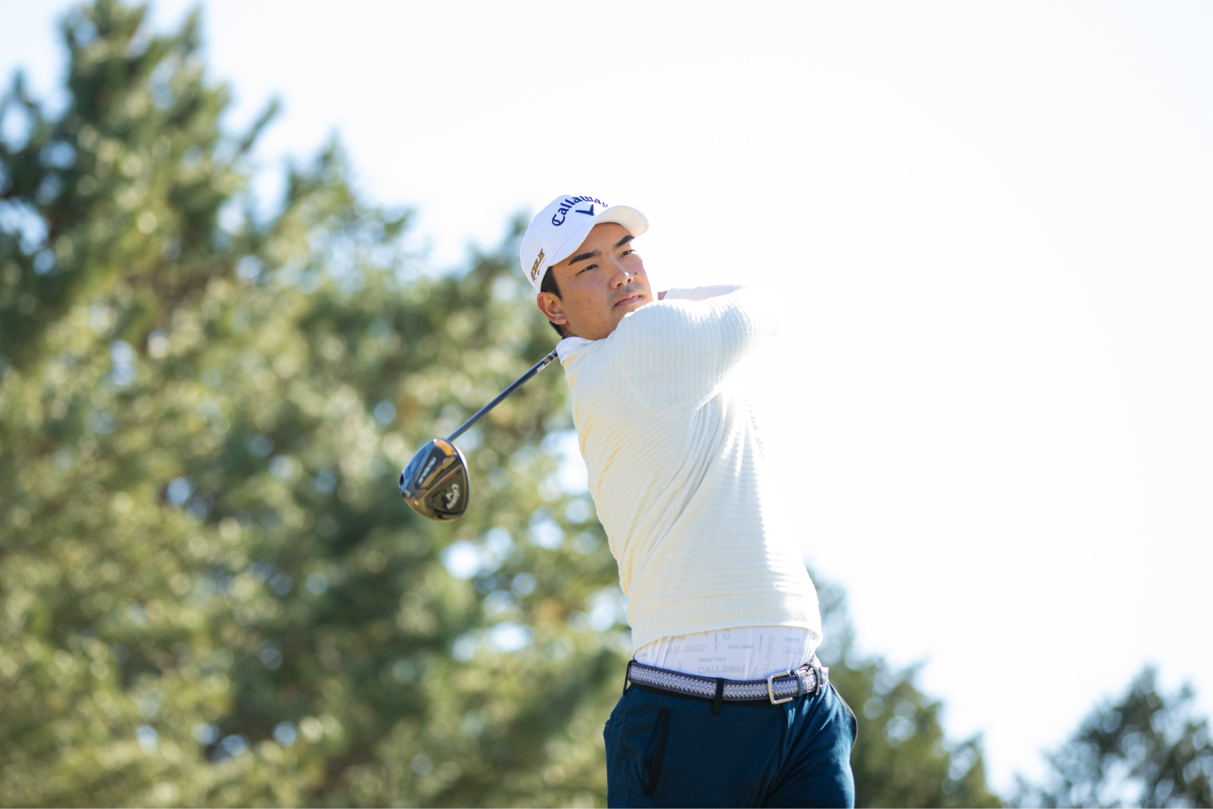 韓国キャラウェイ　ゴルフウエア(日本未発売) 84708-2-