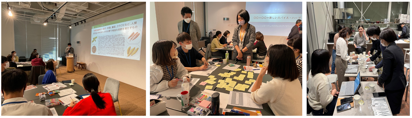 （写真左・中央）ワークショップでは食の各分野の専門家による講義や各チームへのアドバイスも実施。（写真右）商品試食会の様子
