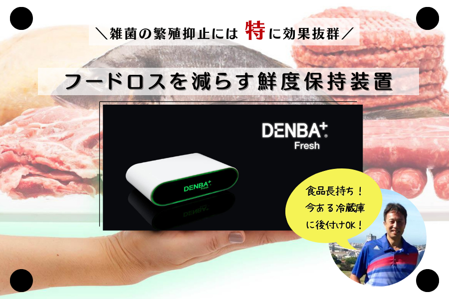 DENBA Fresh 家庭用鮮度保持装置　未使用品 家庭用鮮度保持装置DENBA Fresh