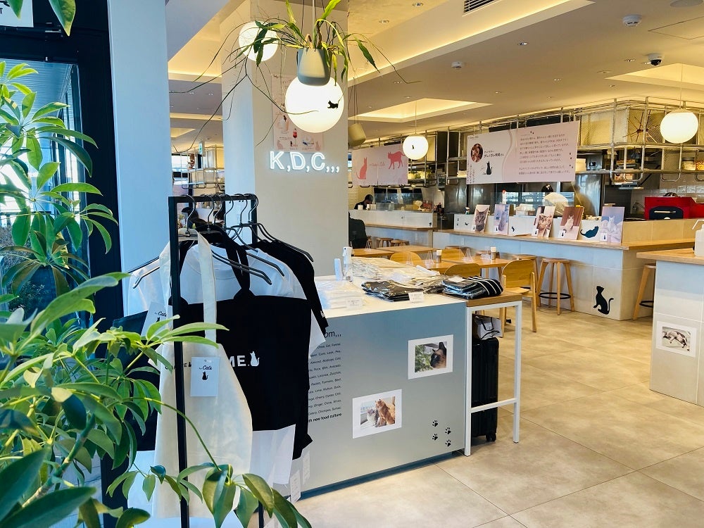 「ねこのいない、ねこカフェ」店内