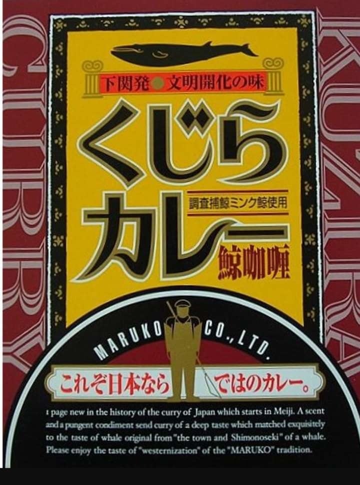 くじらカレー