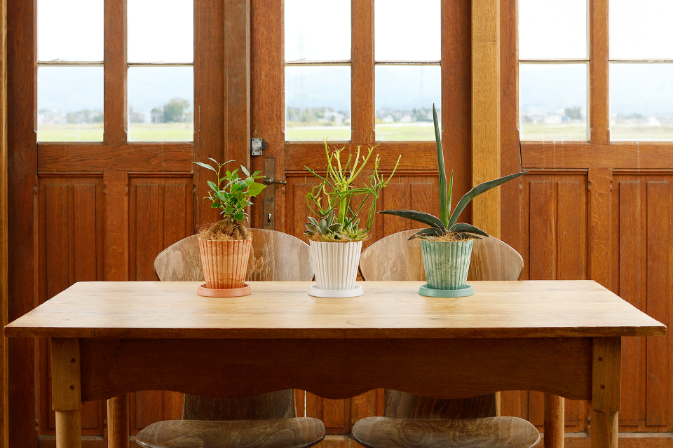 おうちのインテリアグリーンをこだわりの高い質感でワンランク上に演出