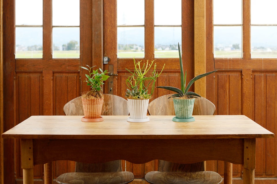 おうちのインテリアグリーンをこだわりの高い質感でワンランク上に演出 おうちのインテリアグリーンをこだわりの高い質感でワンランク上に演出