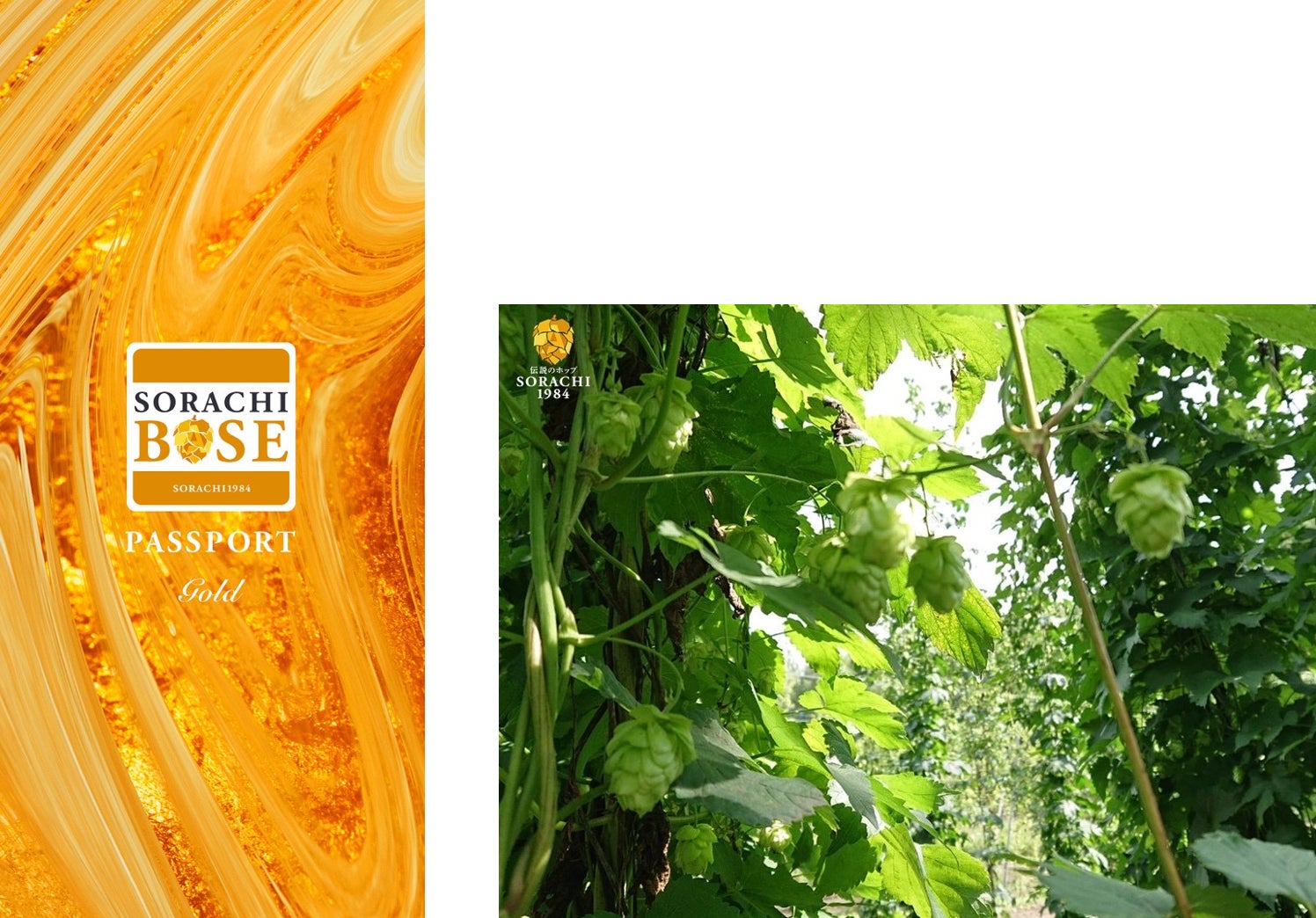 ブランドNFTのイメージ