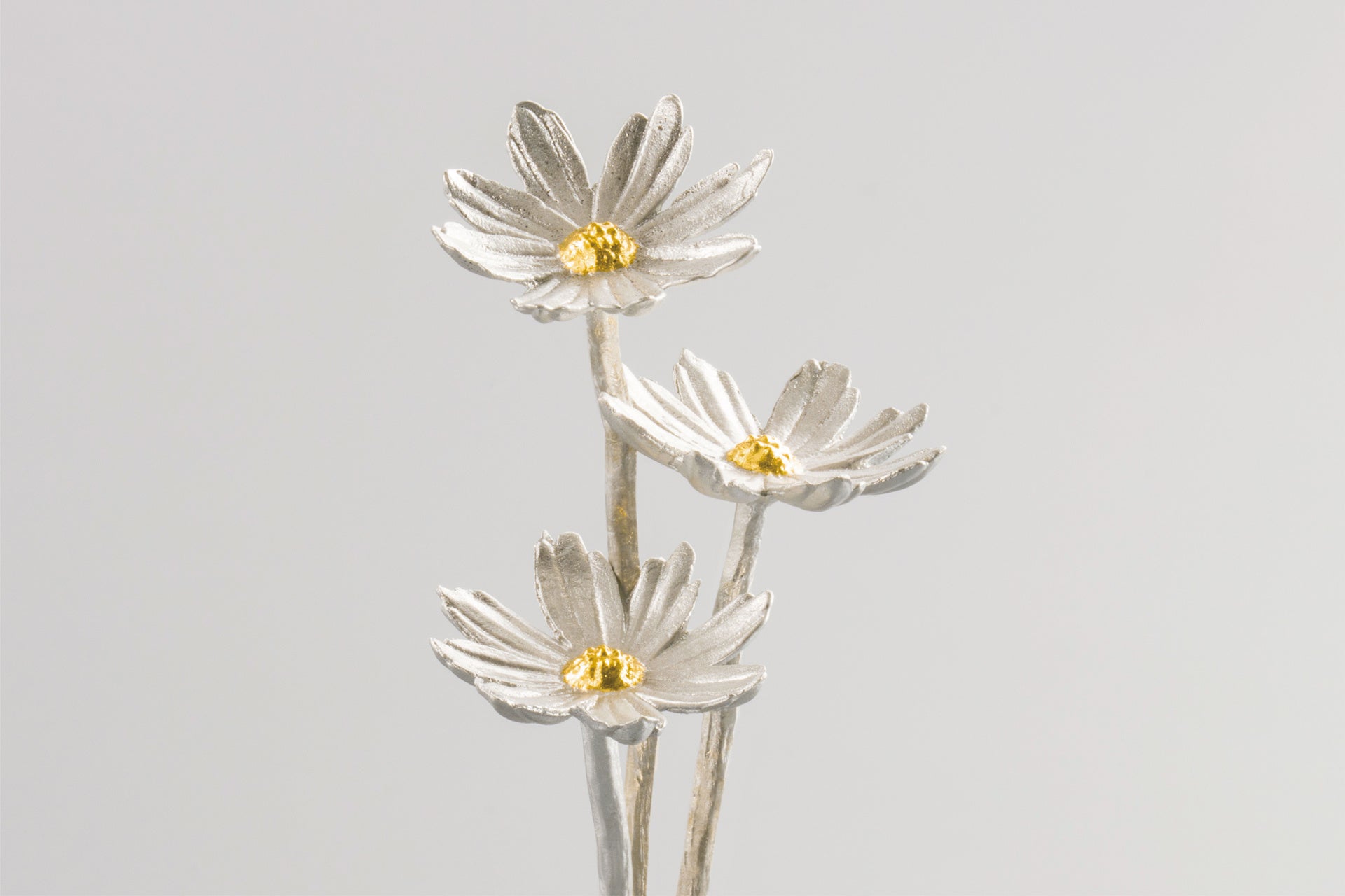 ブラスト加工を施した表面と、金装飾を施した中央部分