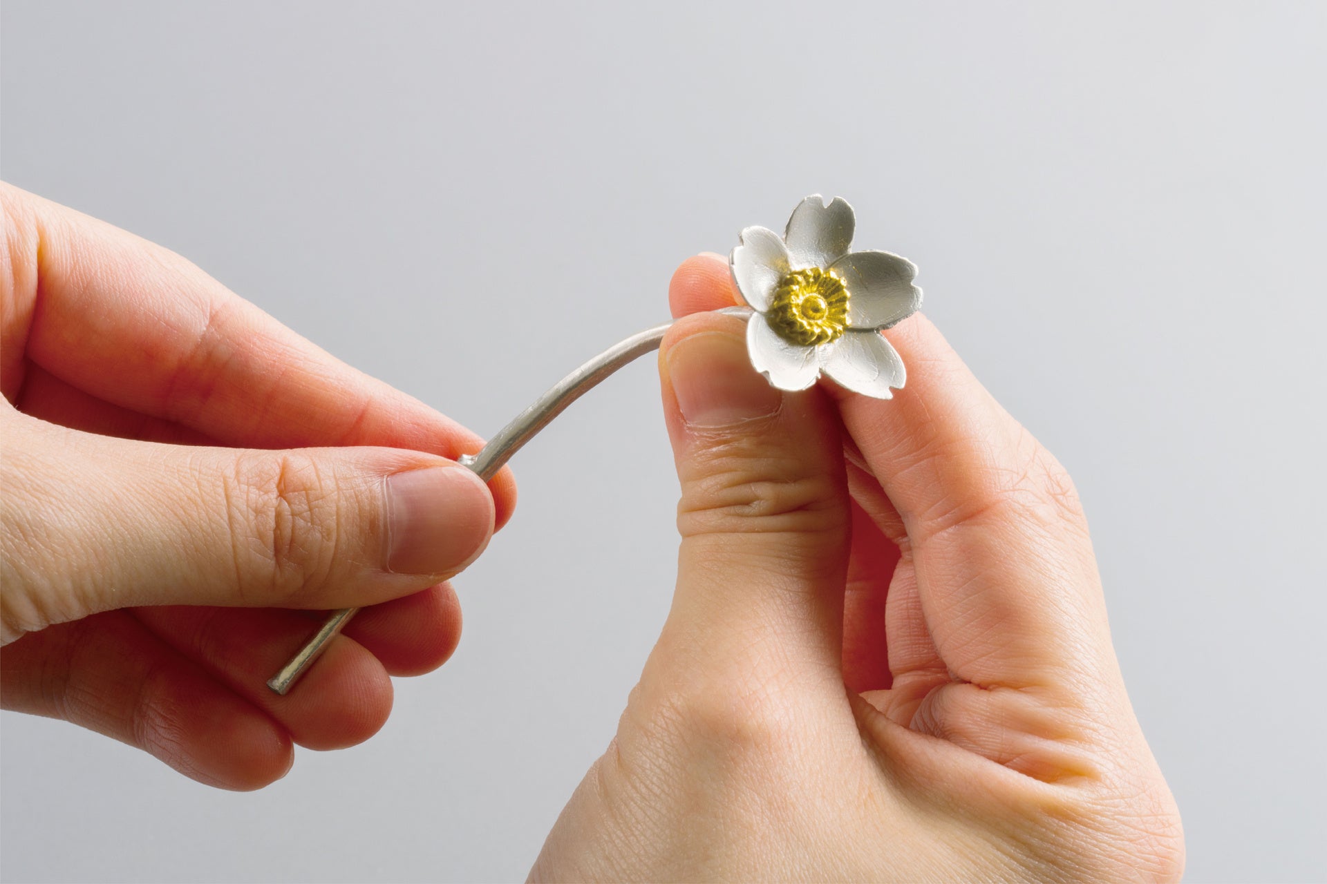 自由に曲げられる茎（画像はサクラ）