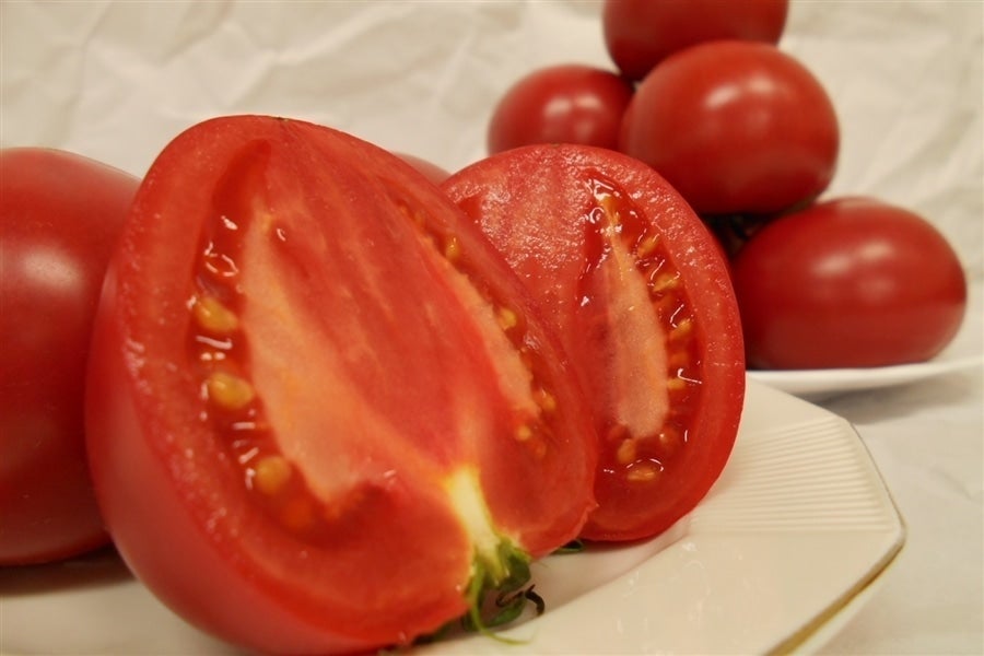 糖度が8度前後の高糖度とまと！産地直送通販サイト「JAタウン」で