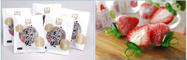 はかた地どり　苺の実アイス