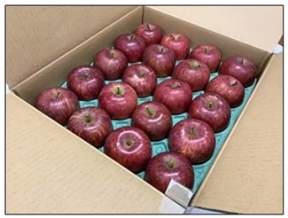 産直はまなす陸前高田「ご家庭用りんご」