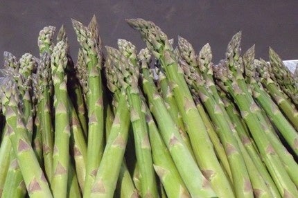 春の有機栽培グリーンアスパラガス