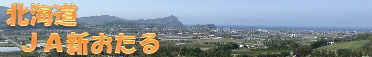 北海道ＪＡ新おたる