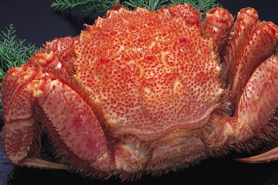 オホーツク雄武のボイル毛ガニ（北海道雄武産）