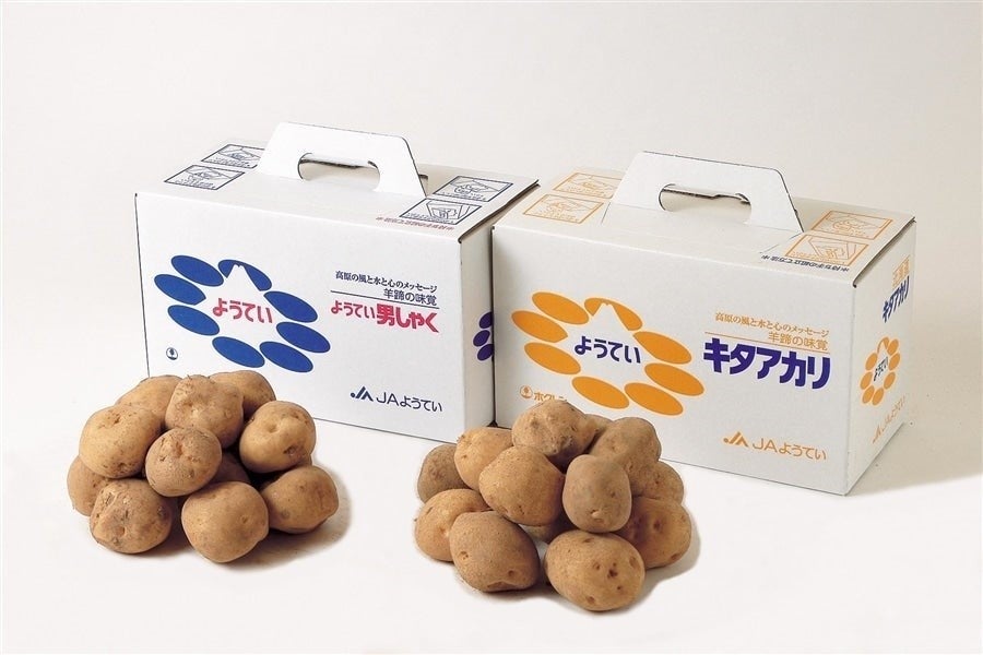 男爵・キタアカリセット【ＪＡようてい】