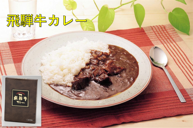 飛騨牛カレー