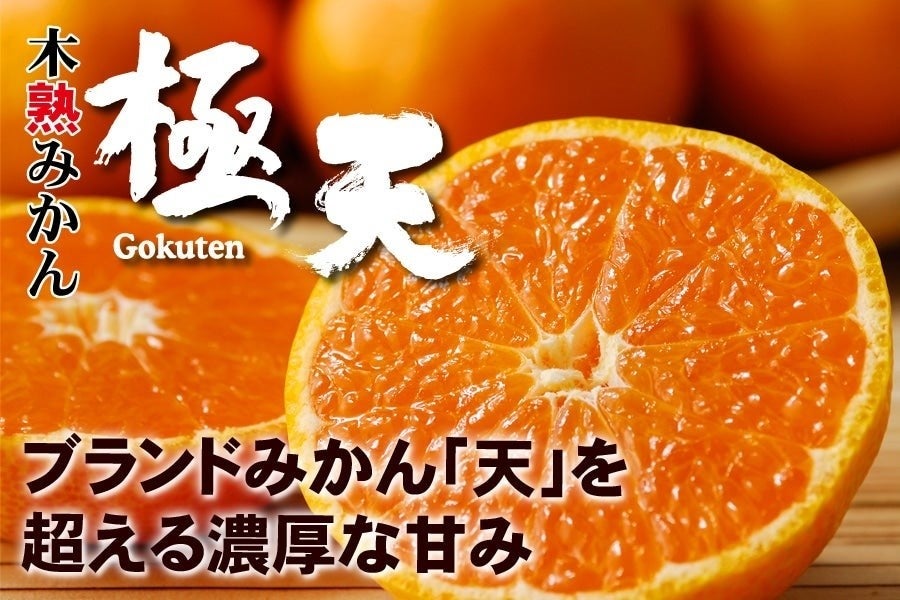 木熟みかん 極天