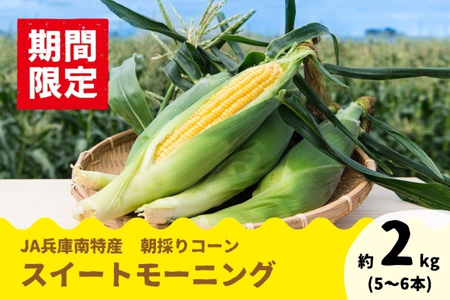 りえきん。順次発送！　朝採り　とうもろこし 順次発送！ 朝採り とうもろこし - メルカリ