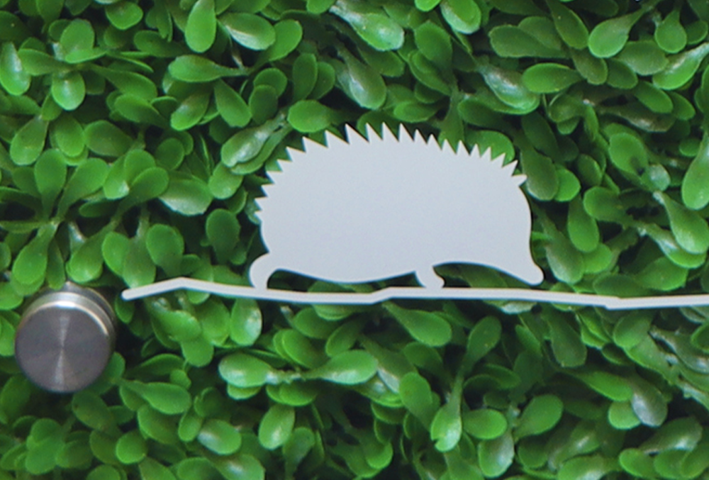 グリーンカラーの本体にはハリネズミのイラスト