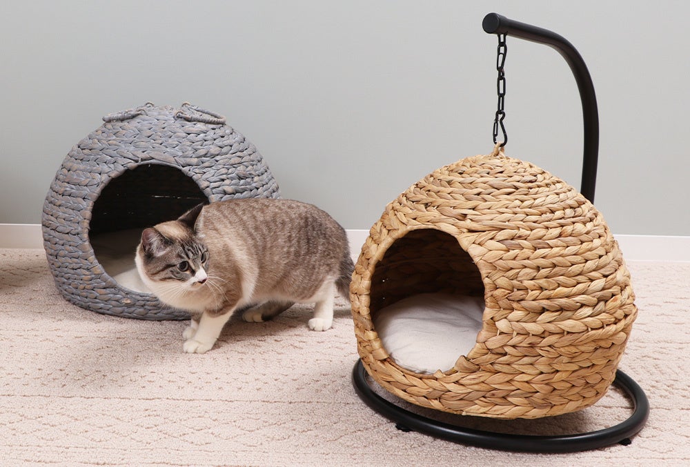 どっちがいいか迷うニャ