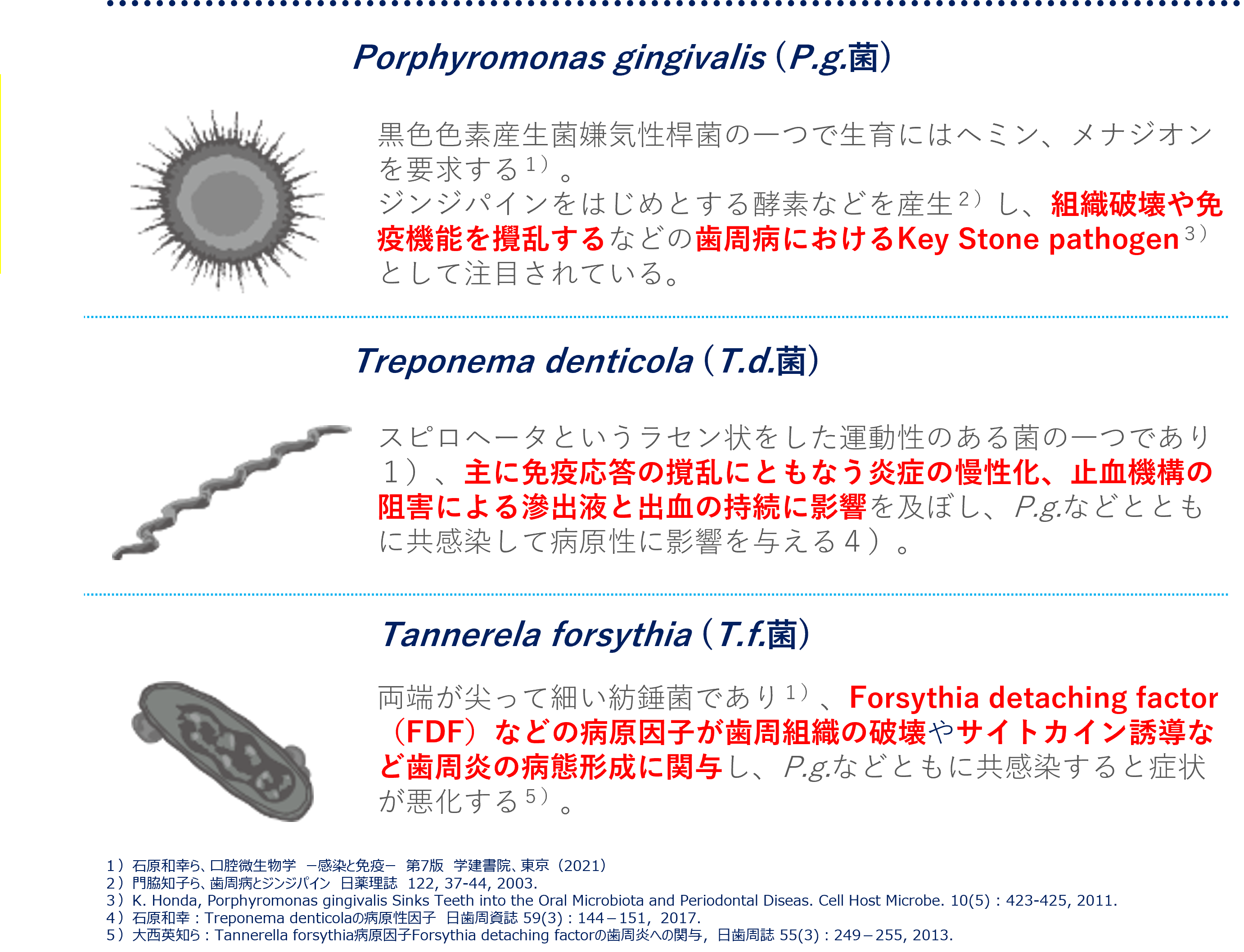 口腔微生物学 口腔微生物学・免疫学 第5版 | 川端 重忠, 小松澤