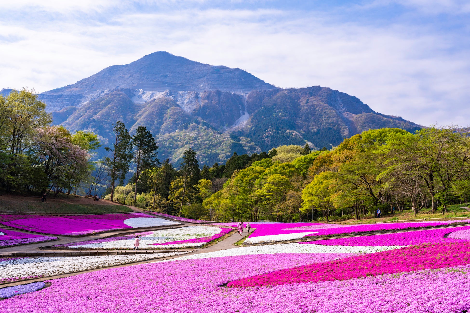 秩父の名峰・武甲山