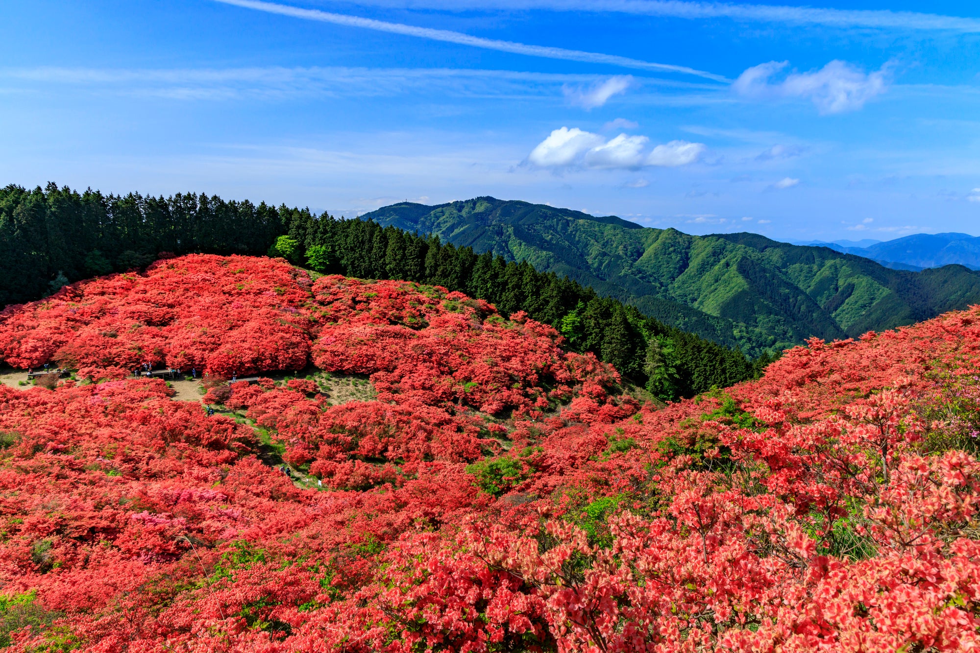 大阪と奈良にまたがる大和葛城山