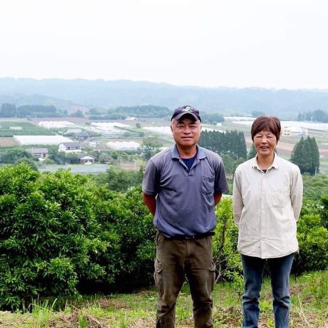 宮崎県綾町野元さんご夫妻