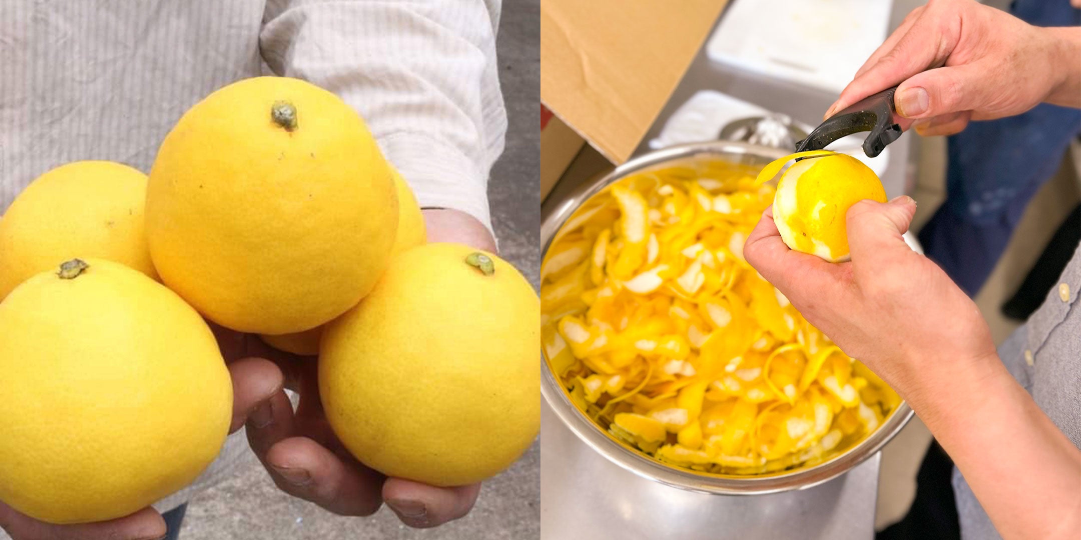 丁寧に育てられた日向夏