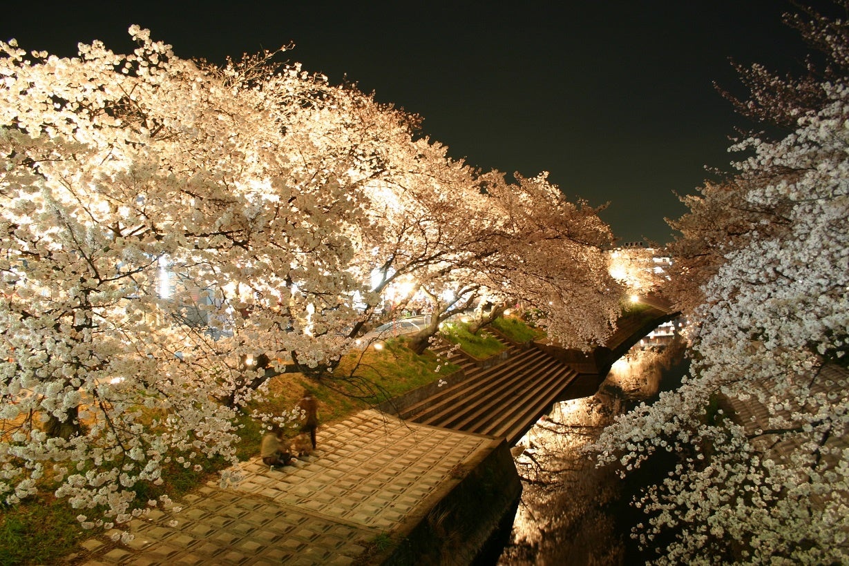 約2.5㎞にわたる桜の名所や、日本のさくら名所百選に選ばれたお