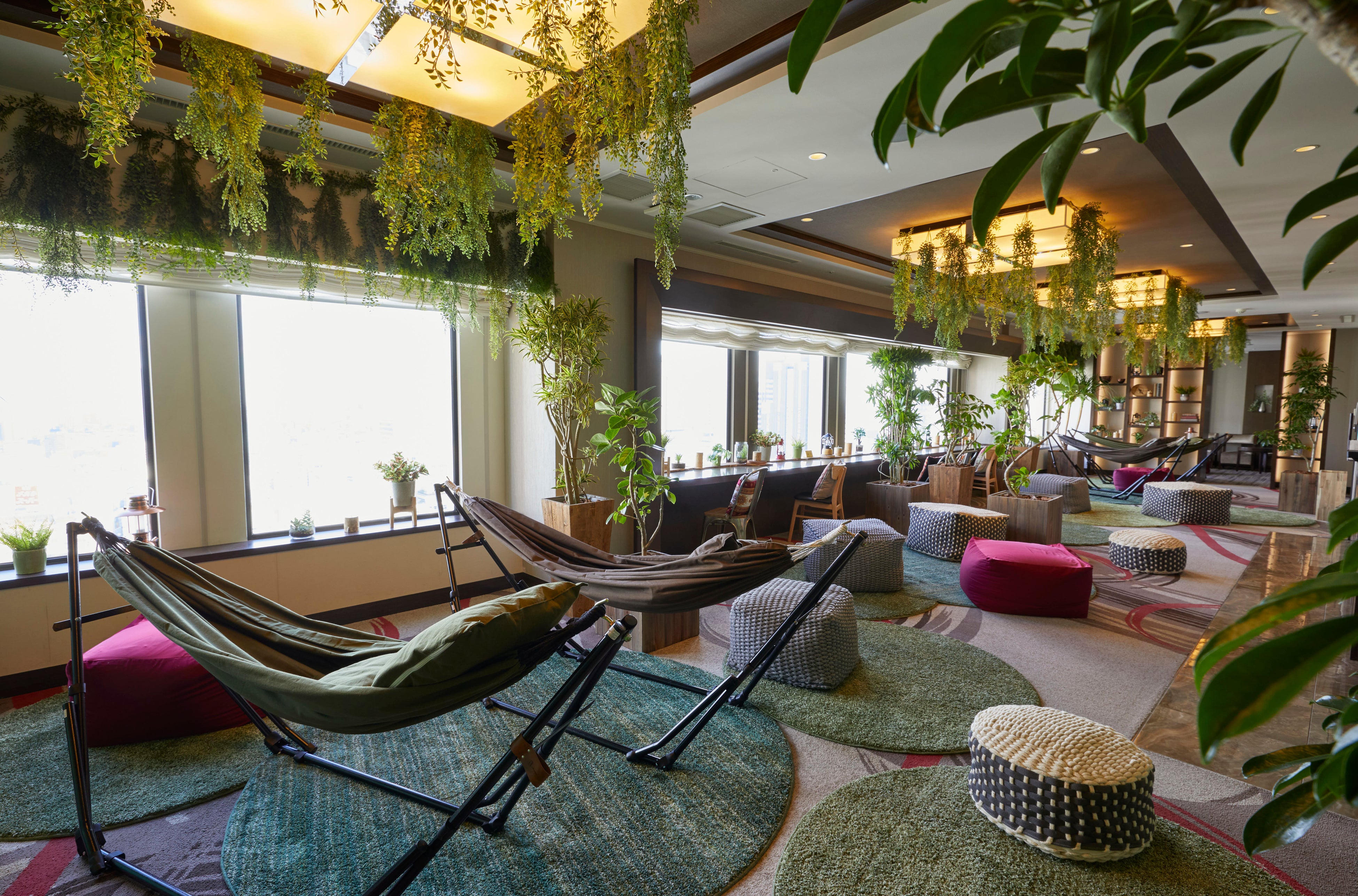 室内で森林浴 おこもりステイ に最適なご宿泊者限定の南館最上階のラウンジが22年1月25日 火 にリニューアルオープン 京王プラザホテル のプレスリリース