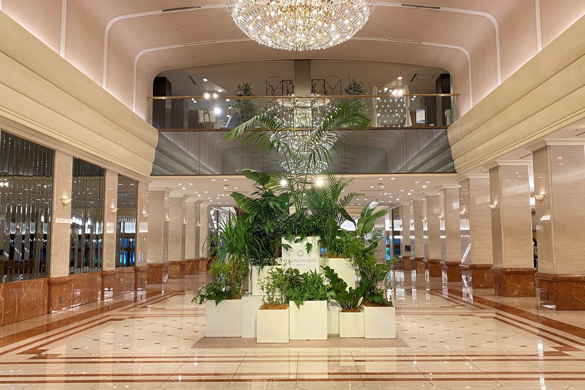 緑 と触れあうことで癒しを感じるひとときを演出 耕作放棄された植栽を活用し環境にも配慮したメインロビーの装飾 京王プラザホテルのプレスリリース 緑 と触れあうことで癒しを感じるひとときを演出 耕作放棄された植栽を活用し環境にも配慮したメインロビーの装飾 京王プラザホテルのプレスリリース