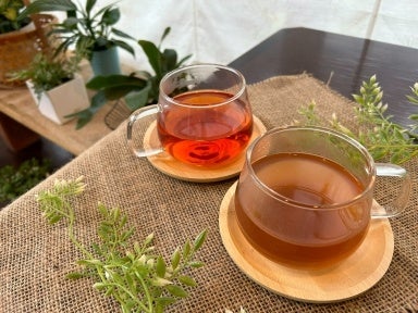 フリードリンク