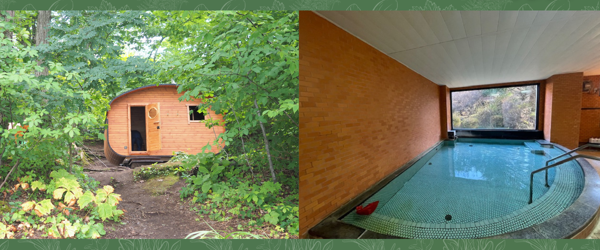 リニューアル概要