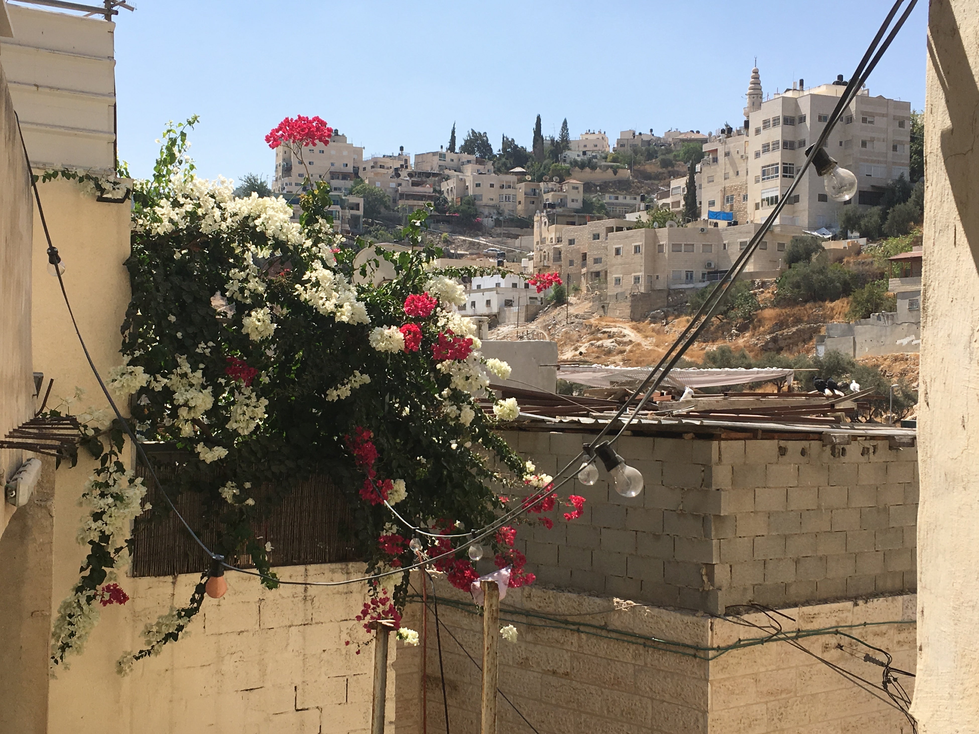 住宅の一角　2019年