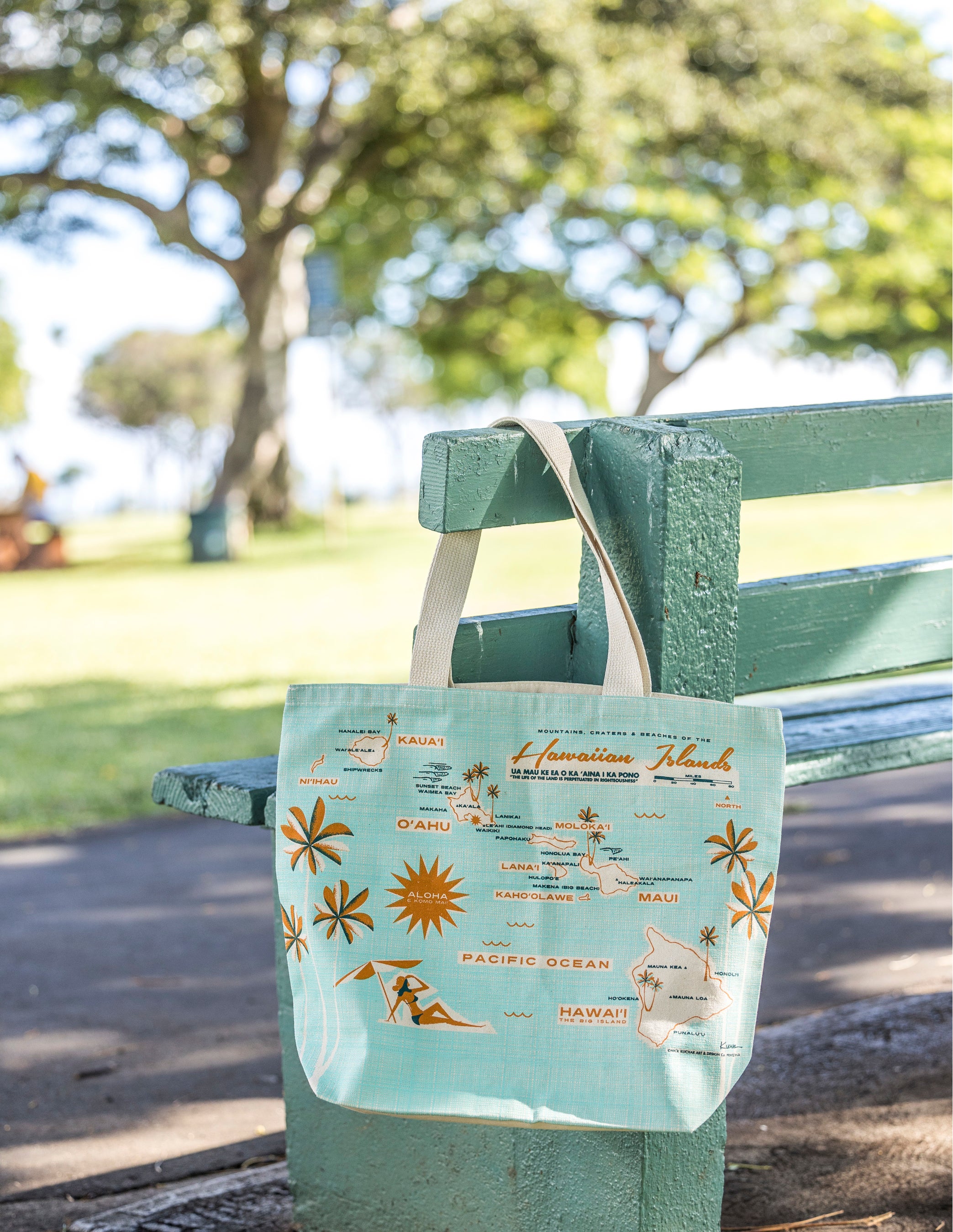 ニック・カッチャーのトートバック