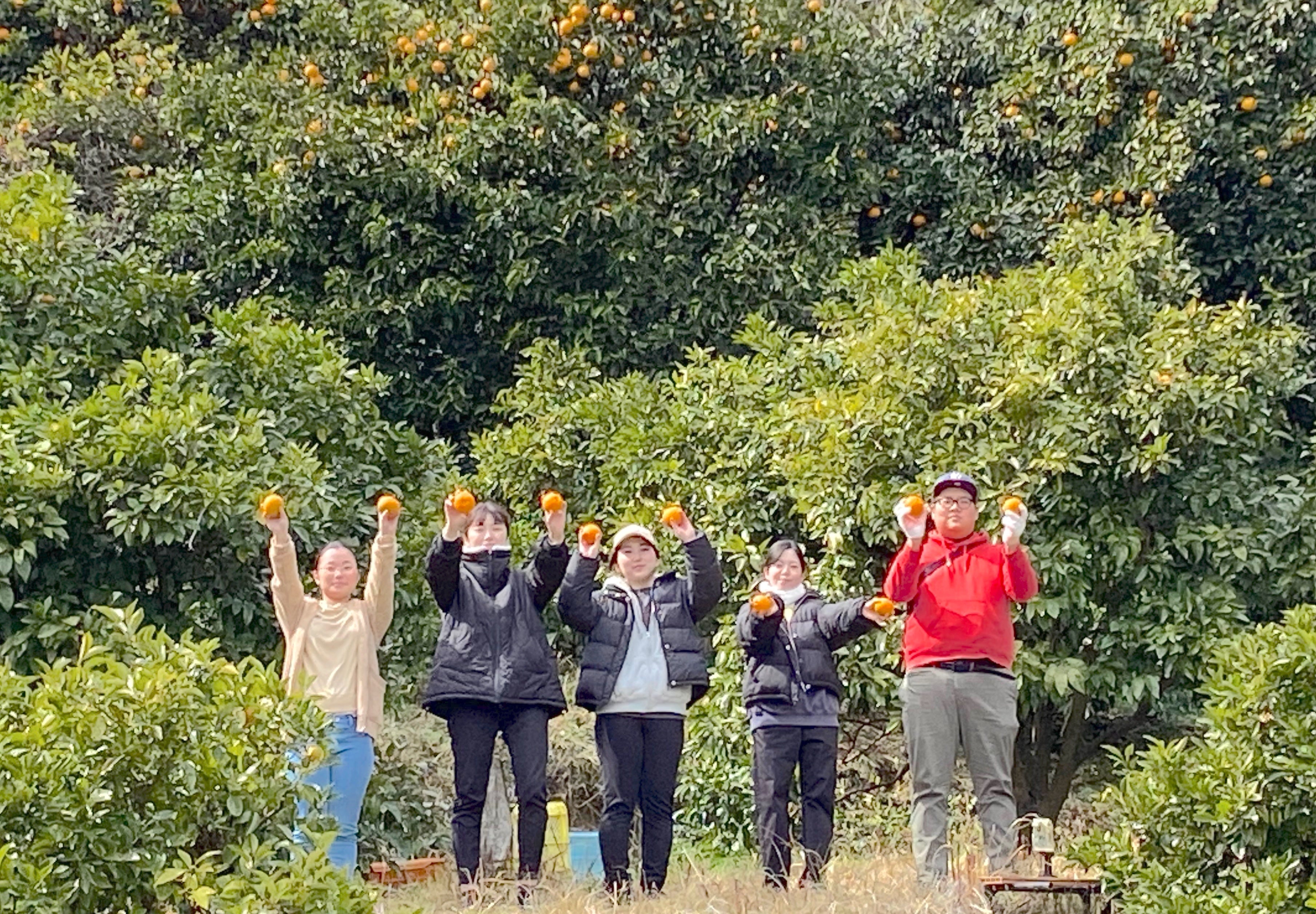 石舟庵の「熱海だいだい和菓子プロジェクト」メンバー