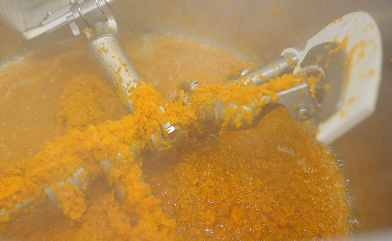 だいだいピューレ製造