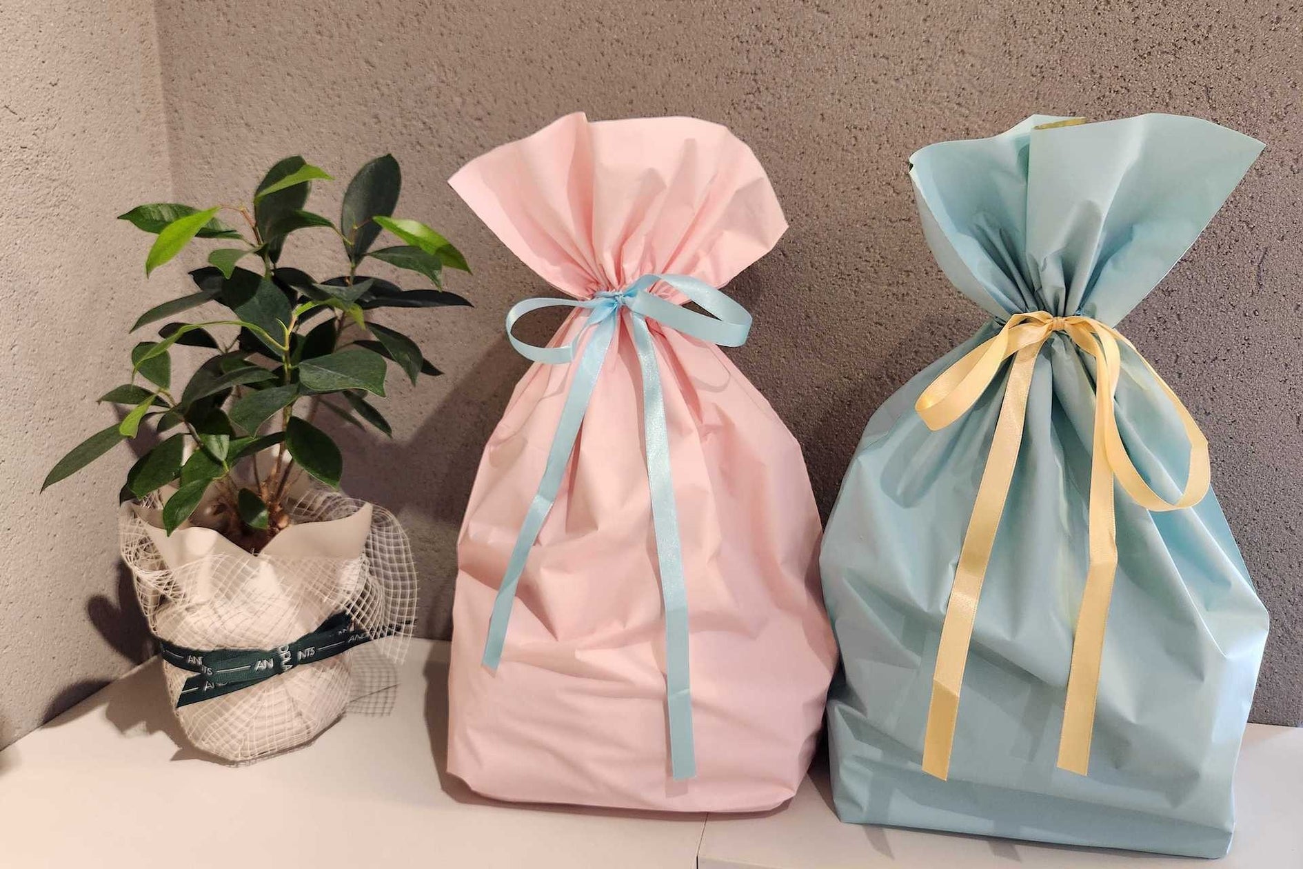 「行動心理学 × 皮膚科学」で挑む、スキンケアブランド「肌◯(はだまる)」の新たなモノづくり