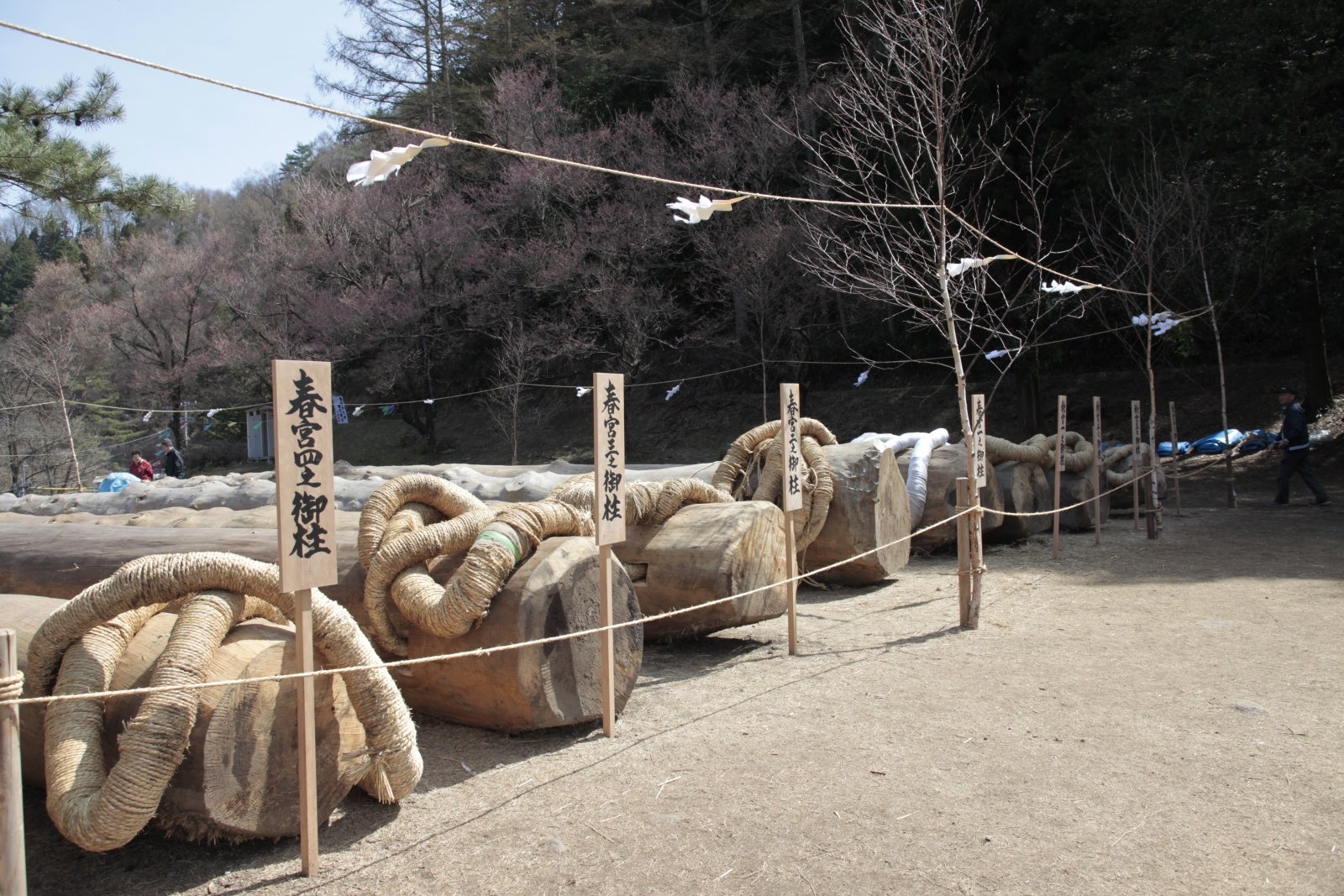 諏訪大社 御柱祭（画像提供・諏訪地方観光連盟）