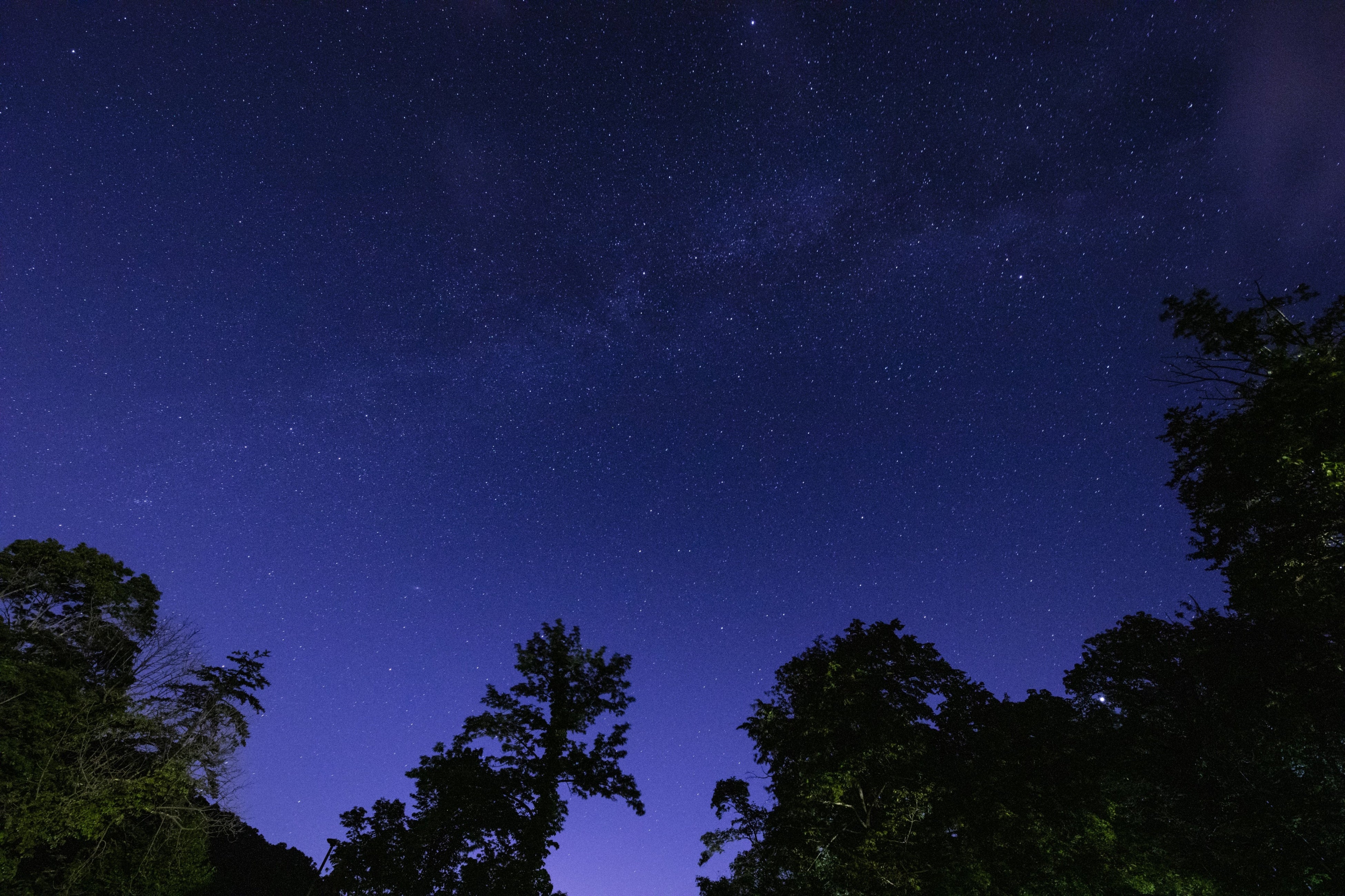 夜には満天の星が広がる