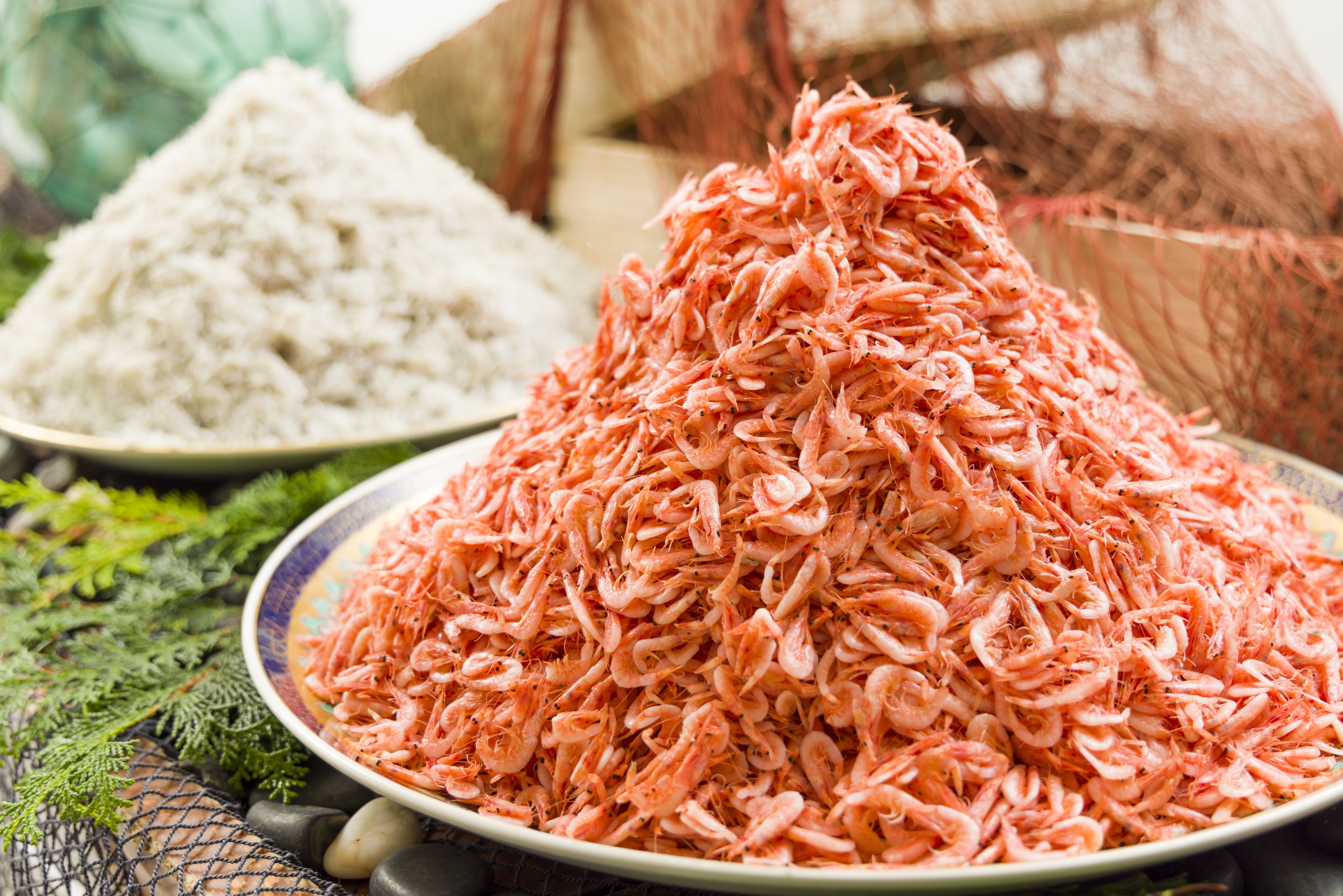 圧巻の富士山盛