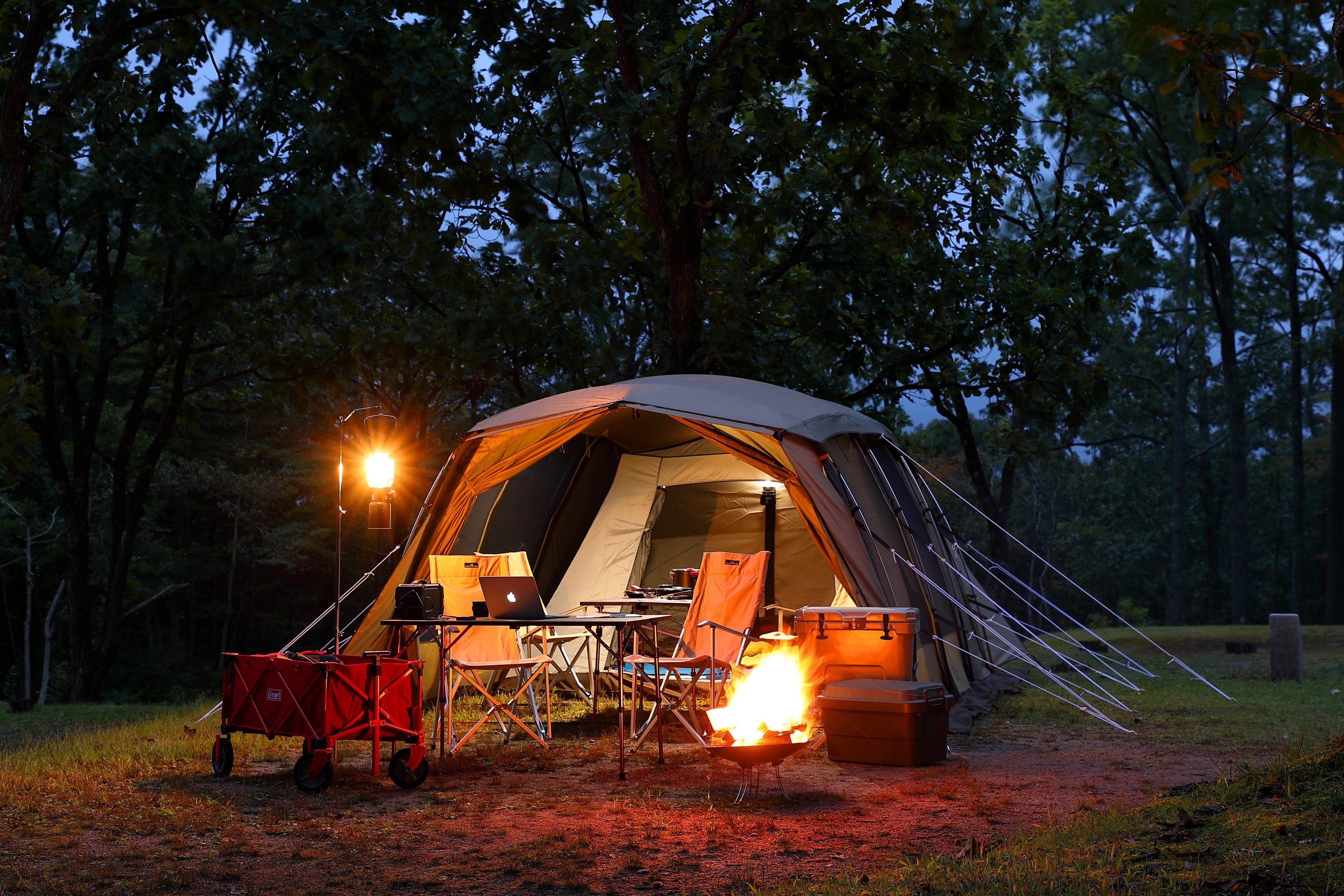 休暇村蒜山高原　蒜山高原キャンプ場