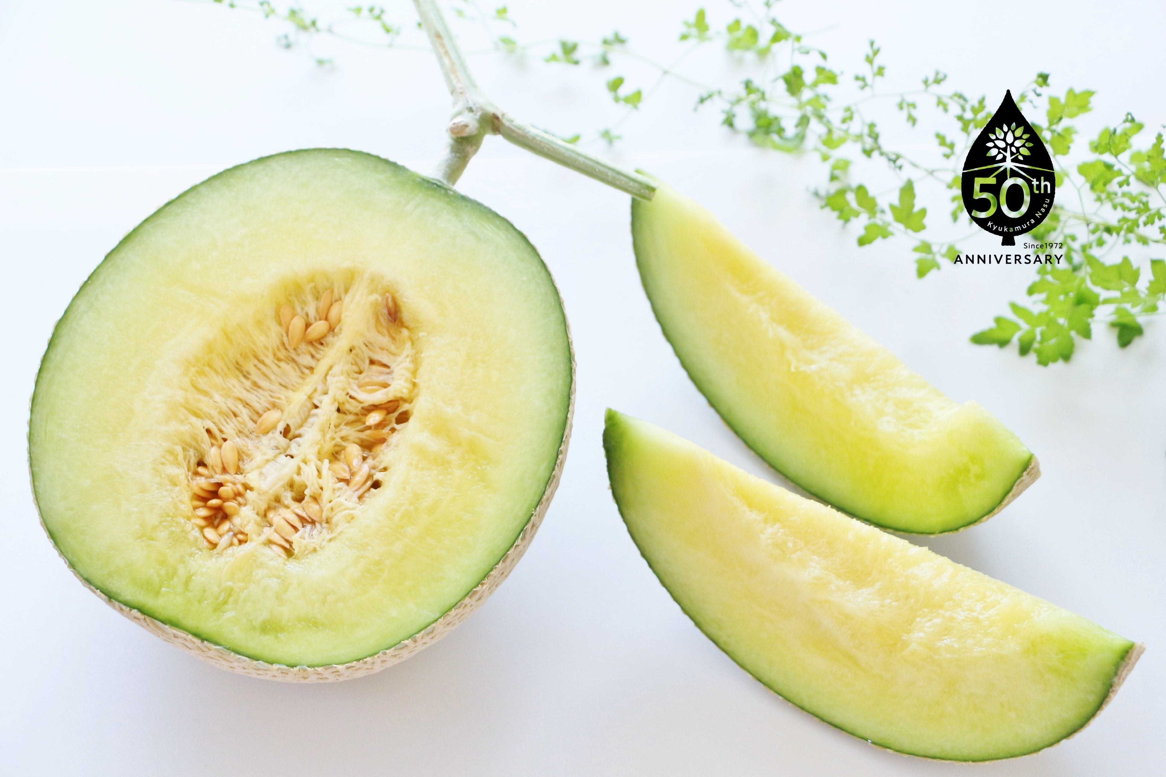 メロン半玉ひとり占め！