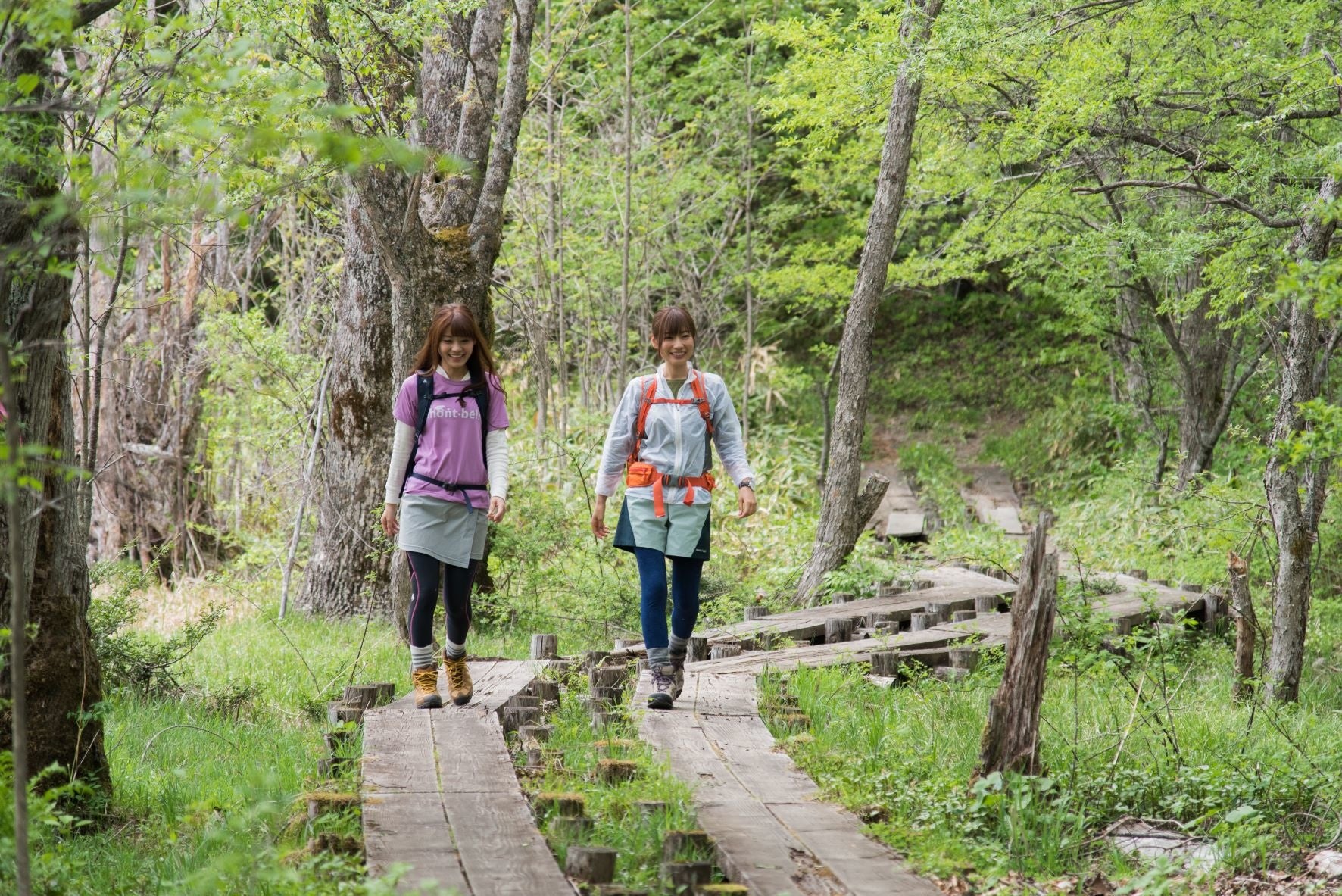 遊歩道がめぐらされ、自然を身近に感じながら、ゆっくりとした時間を楽しめます